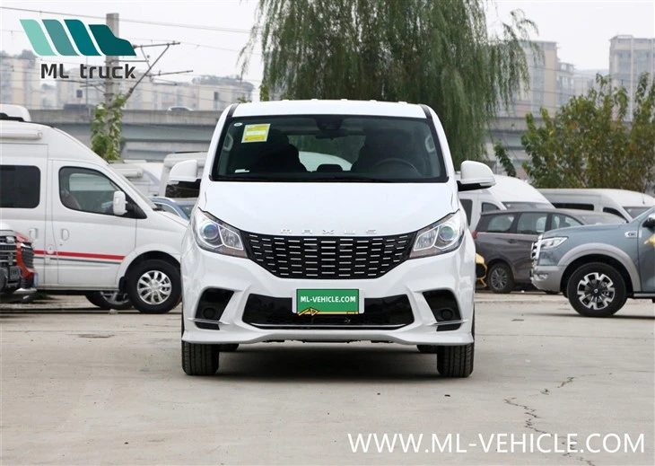 SAIC Maxus G10