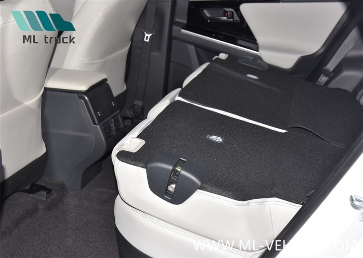 2024 GAC Toyota Bozhi 4X SUV EV