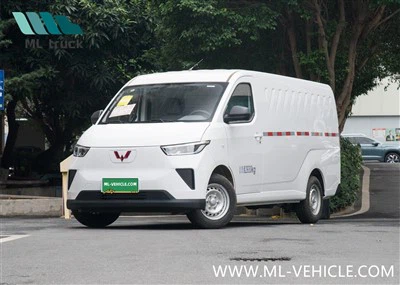 Van WuLing YangGuang EV SAIC GM 2024