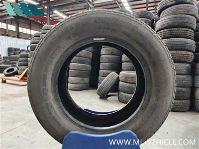 Ban Salju Camaro 205/65R15